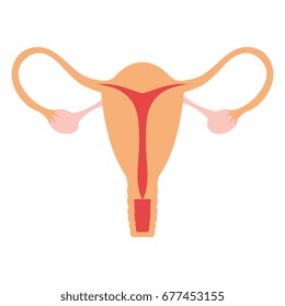 Female Reproductive Organ Icon