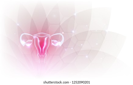 Female reproductive organs beautiful artistic design, transparent flower at the background.