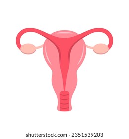 Female reproductive organs - flat vector icon isolated on white.
