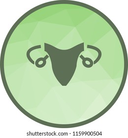 Female Reproductive System