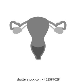 Female Reproductive System