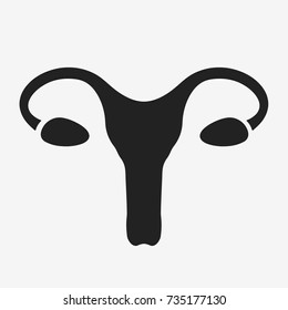 Female reproductive system anatomy. Flat vector illustration