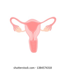 Female reproductive system. Anatomy. Gynecology. Woman health. Hand drawn flat style. It can be used for packaging design of women's pads, medical posters, brochures, advertisements. Vector, eps10