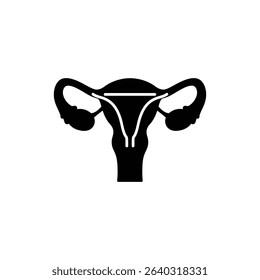 Female Reproductive System Anatomy Medical Illustration and Diagram