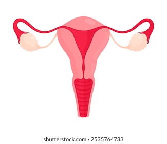 Anatomia do sistema reprodutor feminino com útero, ovário, colo do útero, trompas de Falópio. Saúde da mulher, biologia e conceito de ginecologia. Ilustração de vetor plano isolada em um fundo branco