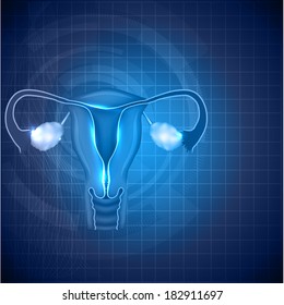 Female reproductive system background. Normal female uterus and ovaries illustration.