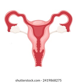 Female reproductive system biology graphic template