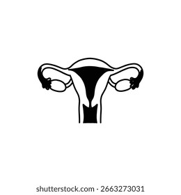 Diagrama do Sistema Reprodutivo Feminino para Educação Médica e Saúde