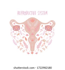 Female reproductive system flat vector banner template with many decorative elements. Scandinavian style