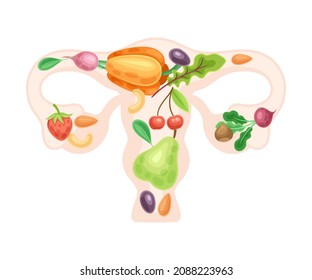 Female reproductive system with fruit and vegerables. Healthy human internal organ vector illustration