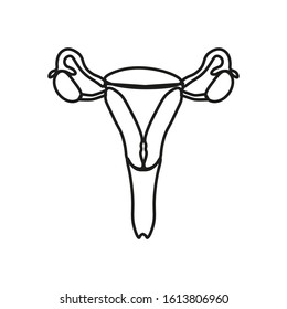 female reproductive system icon vector