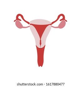female reproductive system icon vector