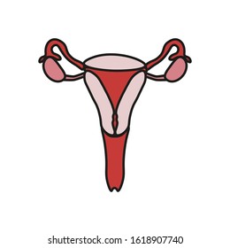 female reproductive system icon vector