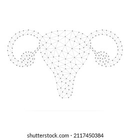 Sistema reproductivo femenino con puntos bajos conectados en negro. Órgano interno con formas triangulares lineales. Vector aislado sobre fondo blanco.