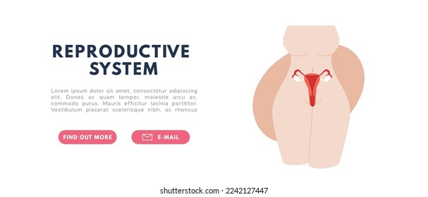 Female reproductive system. Organs location Uterus and ovaries. Flat vector illustration