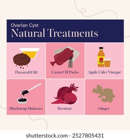 female reproductive system ovarian cyst natural treatments illustration 