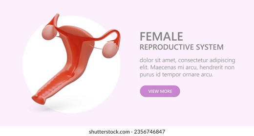 Female reproductive system. Services of gynecologist. Pregnancy planning, IVF. Commercial banner for reproductive medicine clinic. Web template with button