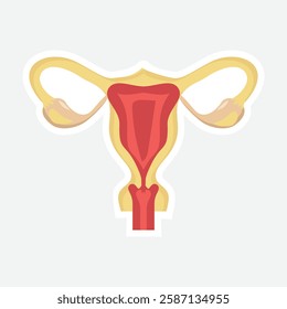 Female Reproductive System Sticker. Illustration of the female reproductive system, including the uterus, ovaries, and fallopian tubes. Ideal for educational and medical use