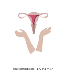 Plantilla de banner vectorial estilizado del sistema reproductivo femenino. Preservando la salud de las mujeres.