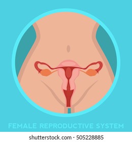 Female reproductive system vagina medical human Anatomy.