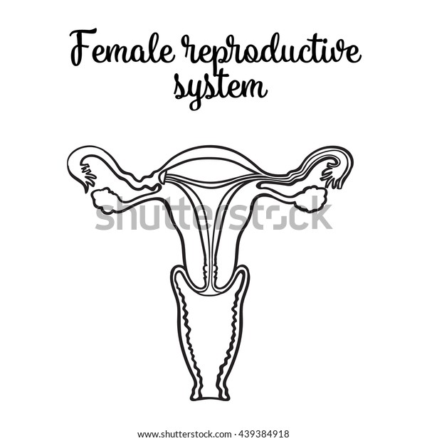 Female Reproductive System Vector Circuit Sketch Stock Vector Royalty Free 439384918 4966
