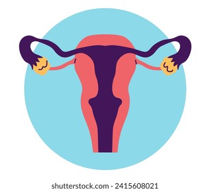 Female reproductive system. Vector flat illustration