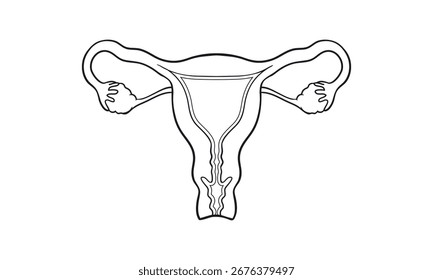 Icono de Vector del sistema reproductivo femenino del útero para ginecología y conceptos de salud de la mujer.