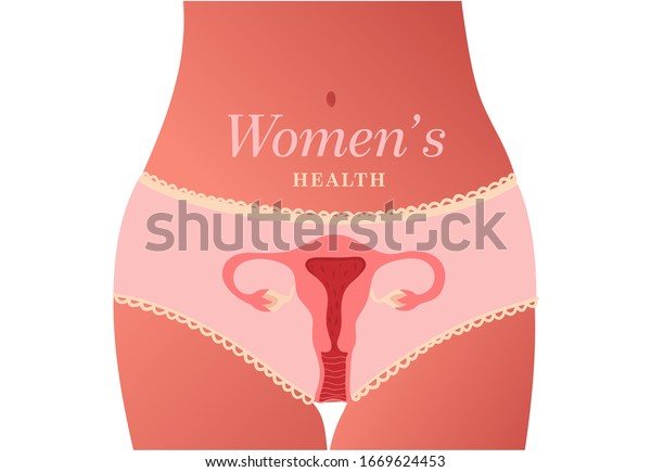 여성 생식계여자 건강흰색 배경의 벡터 그림 스톡 벡터로열티 프리 1669624453 Shutterstock 