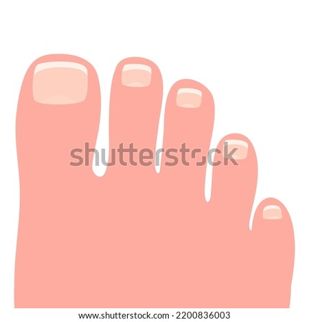 Female right foot cartoon vector illustration isolated on a white background