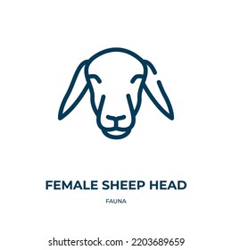 Female sheep head icon. Linear vector illustration from fauna collection. Outline female sheep head icon vector. Thin line symbol for use on web and mobile apps, logo, print media.