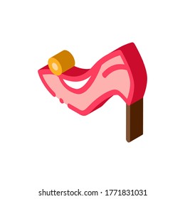 Vector De Icono De Zapato Femenino. Señal isométrica de zapato femenino. ilustración de símbolo aislado de color