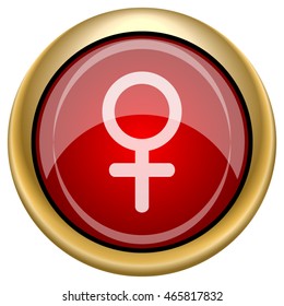 Female sign icon. Internet button on white background. EPS10 vector.