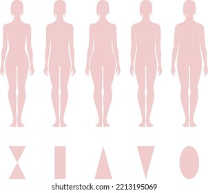 Female Silhouette Various Figure Types Vector Stock Vector (Royalty ...