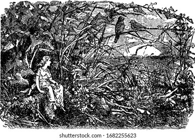 A female sitting in the woods, two birds sitting on branch of tree, vintage line drawing or engraving illustration