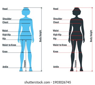 Female size chart anatomy human character, people dummy front and view side body silhouette, isolated on white, flat vector illustration. Cartoon woman mannequin people dimension scale.