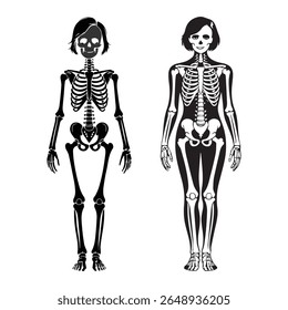Ilustração do vetor da silhueta do esqueleto feminino