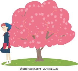 A female student wearing a sailor suit standing under the cherry tree on the day of the graduation ceremony Illustration material
