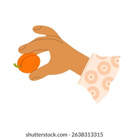 Female stylized hand with shirt cuff holding freshly picked ripe apricot. Cute vector illustration for berry jam jar label design, fruit farm shop advertisement, pie recipe, garden harvest.