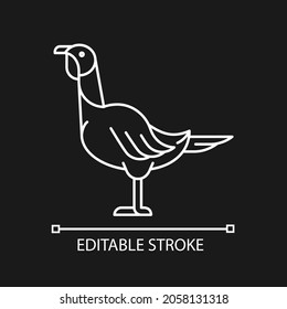 Female turkey linear icon for dark theme. Poultry farming for food. Thanksgiving dinner. Landfowl. Thin line customizable illustration. Isolated vector contour symbol for night mode. Editable stroke