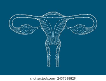 Modelo de contorno de placa de circuito electrónico de órgano uterino femenino. Aislado sobre fondo azul. Ciencia y tecnología médica concepto. Ilustración vectorial EPS10.