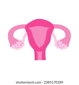 Female uterus. An organ of the human body, the reproductive system. Vector illustration in flat style.