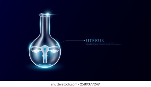 Female uterus transparent in beaker glass triangle test tube on dark blue background. Internal organ anatomy sample medical science experiment. Research genetic scientific concept. Vector EPS10.