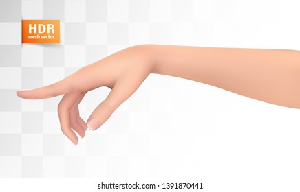 female vector hand with a gesture pointing to the side