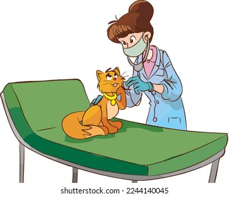 Female veterinarian holds cat belonging to ZOO clinic visitor who brought pet for examination or vaccination. Young girl works as a veterinarian and enjoys treating animals and taking care of kittens.
