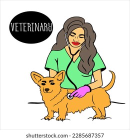 female veterinarian listens to dog's breathing with stethoscope. Veterinary day. ginger dog sits while being examined by veterinarian. dog is being examined, health check in the veterinary clinic.