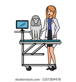 female veterinary with dog in stretcher