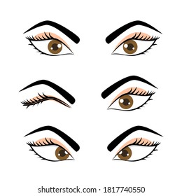 Female Woman Cute Eyes Brows Set Stock Vector (Royalty Free) 1817740550 ...