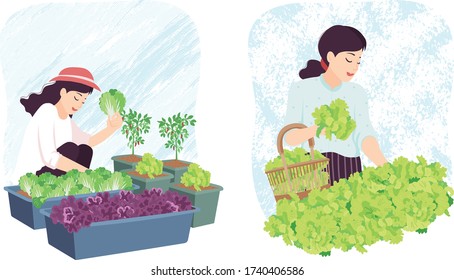 las mujeres trabajan en el jardín.