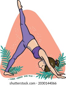 Female yoga poses. Illustration of three legged dog pose yoga. Can be used for merchandise products and illustrations in books and websites.