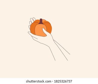 Females' hands hold orange pumpkin. Seasonal autumn squash in human arms. Organic food and local vegetables concept. Linear vector illustration